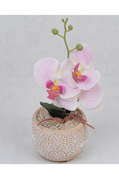 Mondecor Serisi Zarif Orkide Saksı Aranjmanı