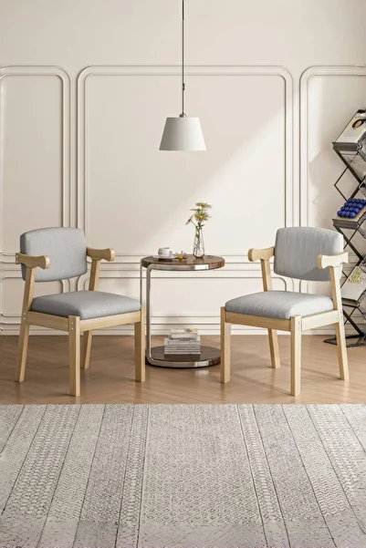 Sheinhome 2pcs Dining Chair, Modern Chair for Dining Room, Bedroom