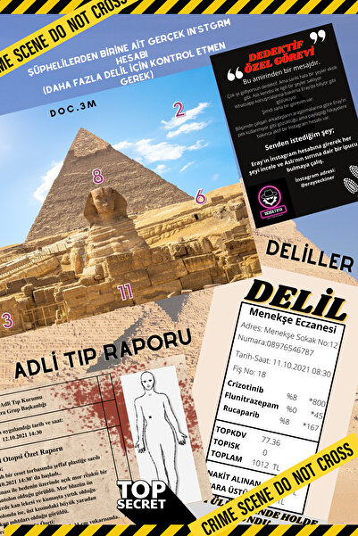 dedektifia Dedektiflik Oyunu Profesör Deniz Davası Cinayet Çözme Oyunu, Dedektif Oyunları,cinayet Çözme