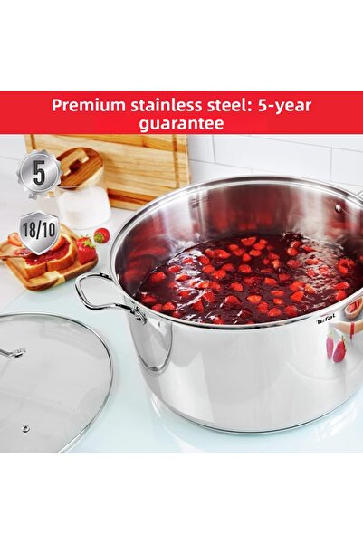 TEFAL Intuition XL Stockpot | 26cm | Stainless Steel 18/10 | Robust Handles | Glass Lid | Induction