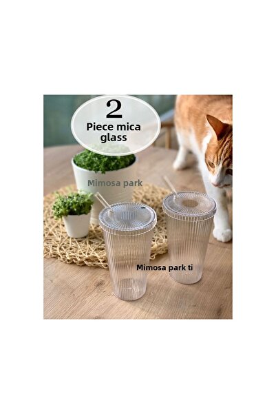 KÜÇÜK EW MICA 2 Pieces 600 Ml Origami Style Mica Glass with Mica Lid and Straw | Presentation Glass Soft Drink Glass