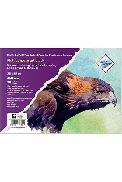 art liva Liva Artistic Painting Notebook Water Technique 20 Pages 25X35 350 Gr