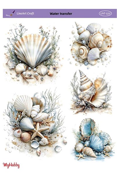 LİNEART Lnt522 Marine Pattern, Seashells, Oysters Open Ground Water Transfer ...