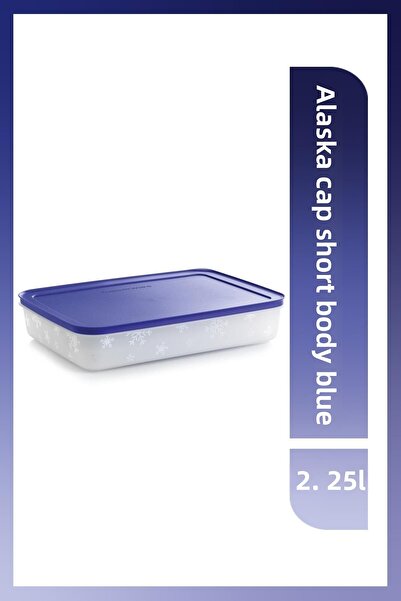 Tupperware Alaska 2.25 Lt Blue Freezer Storage Container - Short Body