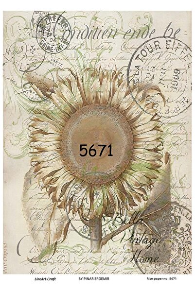 LİNEART 5671 نموذج زخرفة النحاس عباد الشمس منقوشة خمر - 30x42