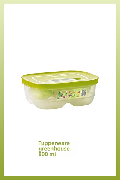 Tupperware Greenhouse Series 4-Piece - Lime and Yellow Pot, New Model