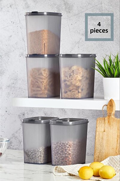 Bayev Practical Lid 4 Pieces 2.5 Lt Food Range Storage Container