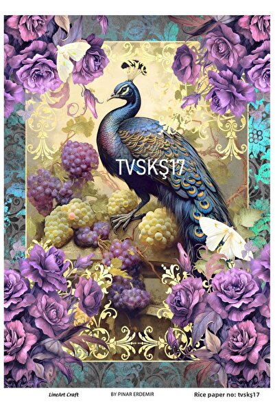 LİNEART TVSKŞ17 ديكوباج نحاسي بنمط الطاووس الملون - 30x42