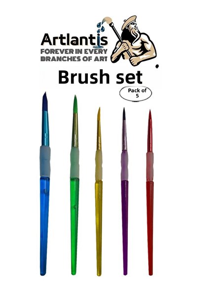 Artlantis Set de pensule 5 pensule cu mâner colorat 1 pachet Set de pensule p...
