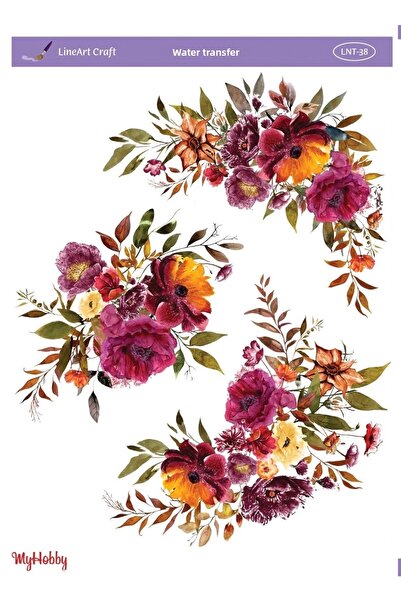 LİNEART Lnt38 Water Transfer - 25X35Cm