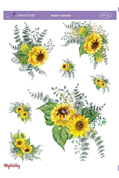 LİNEART Lnt22 Transfer Water - 25X35Cm