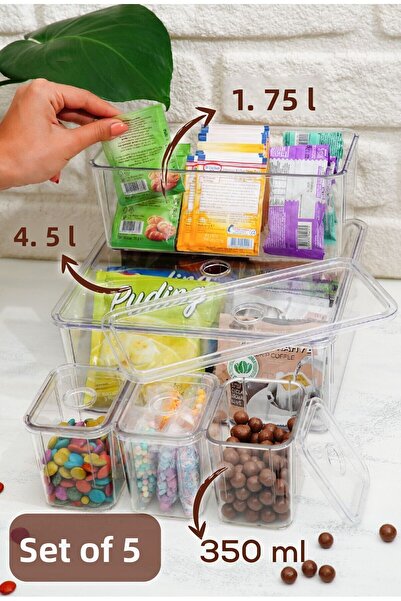 Vienev Clear 5-Piece Storage Container Set with Lids - Snack Bowl and Snack Box