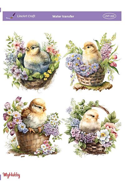 LİNEART نموذج LNT359 نقل مائي خطي مقاس 25 × 35 سم