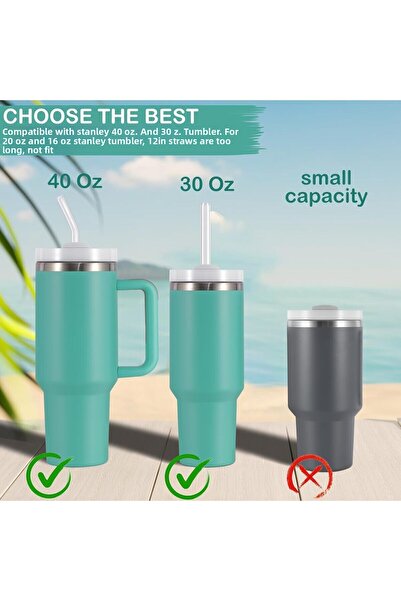 madamina 8 Inclined Glass Straws and 2 Brushes - 31 Cm, Adventure Quencher Compatible