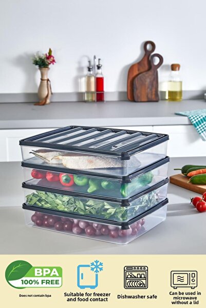 Alacarte 4 Pieces 2500 ml Refrigerator Freezer Organizer and Storage Container