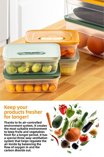 Vienev Adjustable Vegetable and Fruit Storage Container with 6 Air Ducts 2X(1.15-2.35-5 Lt) Mint