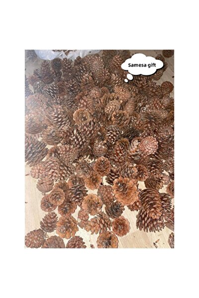 SAMESA HEDİYELİK Χριστουγεννιάτικα στολίδια από κώνους Χόμπι Ζωγραφική με κών...