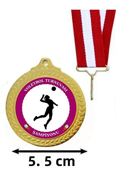 Özcan Tasarım 24 قطعة ميدالية لبطولة الكرة الطائرة