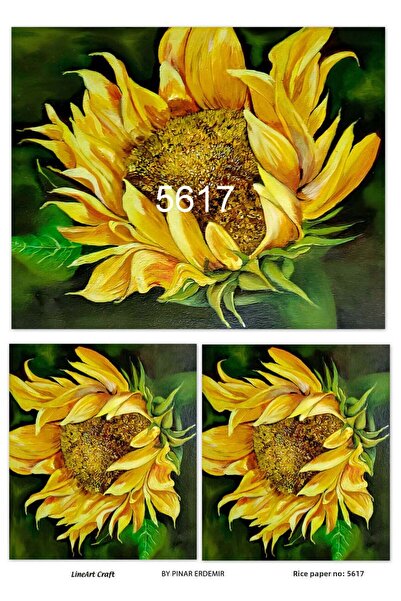 LİNEART Lineart Brass Decopage Paper No:L5617- 29X42Cm