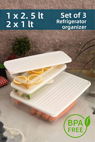 Leila 3-Piece Storage Container with Lid, Suitable for Refrigerator Organizer, Microwave and Freeze 4.5Lt