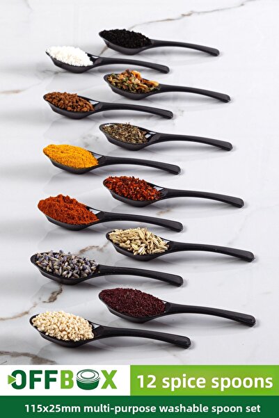 OFFBOX 12 Pieces Spice Spoon Breakfast Spice Spoon Spoon Set BK-12