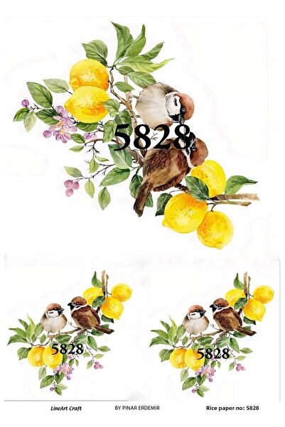 LİNEART Brass Decopage Paper La 5828