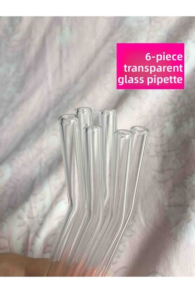 Bundera Transparent 6-Piece Glass Curved Pipettes with Special Protected Box and Packaging