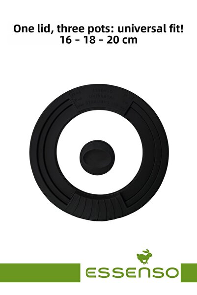 Essenso Universal Drainer Silicone Edged Glass Lid 16-18-20 cm