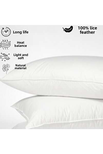 DNR وسادة رمي ريش الإوز المنزلية حشوة وسادة داخلية 2 قطعة وسادة مقعد مزخرفة