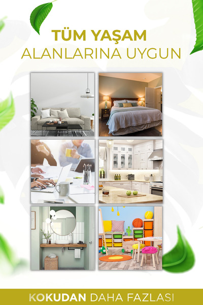 AURAN Balkabağı Çubuklu Oda ve Ortam Kokusu Yedek Dolum Kiti Yedek Şişe Pumpkin Refill 250ml