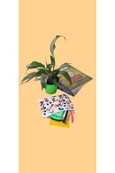 AL Bİ 90LIK AL Bİ 90'LIK Cep Telefonu Kılıfı Kitap Kılıfı Kalem Kutusu 17x23 cm Çok Amaçlı Çanta Okul