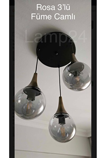 Lamp24 Rosa 3'lü FÜME Glop Camlı Modern Avize - Eskitme Aksesuarlı - Salon Av...