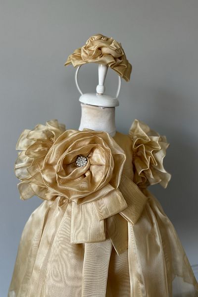 Mialora Special Design Girl's Dress, Flower and Pearl Detail, Ruffle Sleeves, Crown Accessories