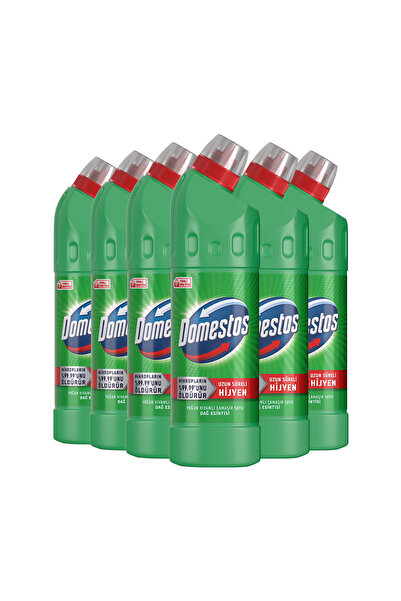 Domestos Çamaşır Suyu Dağ Esintisi 750 ml X 6+ Sünger 1 Adet
