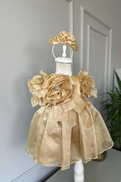 Mialora Special Design Girl's Dress, Flower and Pearl Detail, Ruffle Sleeves, Crown Accessories
