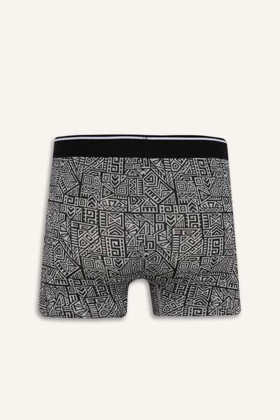 DeFacto Regular Fit 3lü Boxer E0125AX24AU