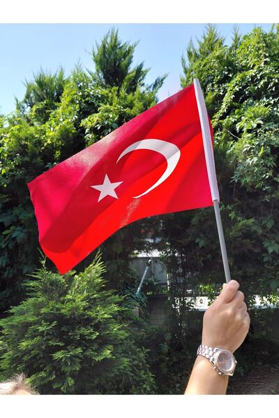 BANNERSBAY 40 ADET Sopalı Türk Bayrağı 20x30cm-120G/m²Raşel,Dijital Baskı,İç-...