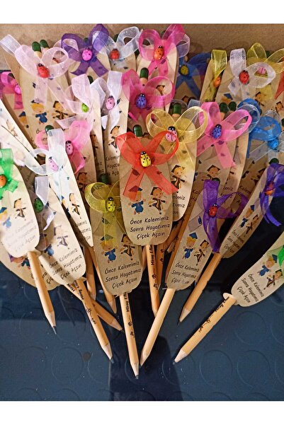 Wi Fro Kişiye Özel Karne, Okuluna, Sınıfına Hoşgeldin Hediyesi 25 Ad Tohumlu Kalem