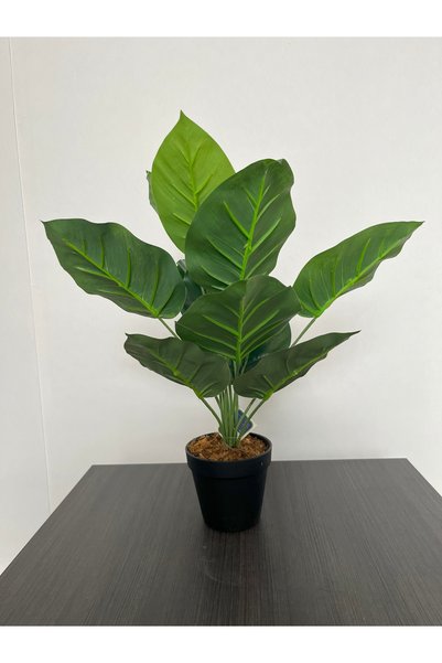 GREEN TOWN شجرة كروتون اخضر الصناعية 45 سم