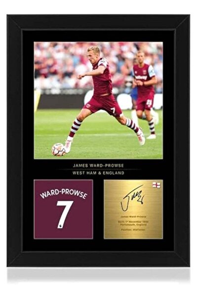 Emoda home Trove عرض صور مؤطرة بحجم A4 من جيمس وارد بروس - توقيع رقمي منسوخ -...