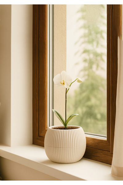 HOMİNG Krem Yuvarlak Mini Saksı 242207