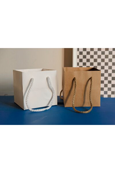 roco paper Kraft Karton Pasta Çanta, 10'lu Paket - Kare Taban, Körüklü, İpli Hediye Taşıma Çantası, 10x10x10 C