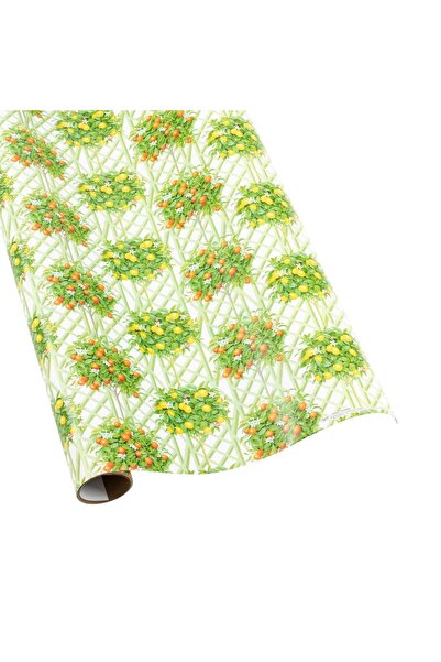 Caspari Citrus Topiaries Gift Wrapping Paper in White - 30" x 8' Roll
