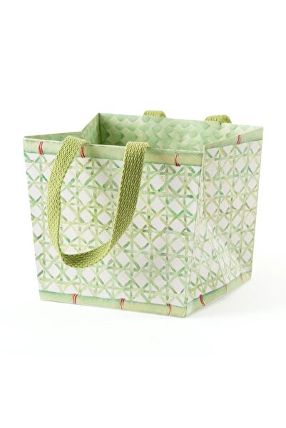 Caspari Trellis Cachepot Small Potted Plant Gift Box - 1 Each