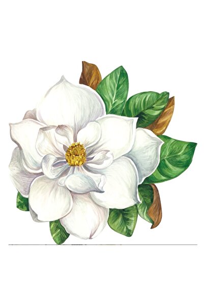 Hester & Cook Σετ σουπλά με σχέδιο μαγνολίας - 12 τεμάχια