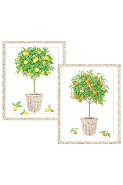 Caspari Citrus Topiaries Assorted Embossed Boxed Note Cards 10 Note Cards & 10 Envelopes