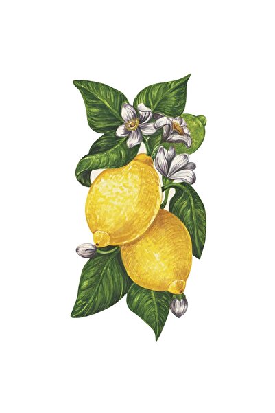 Hester & Cook Lemon Table Accent - set de 12