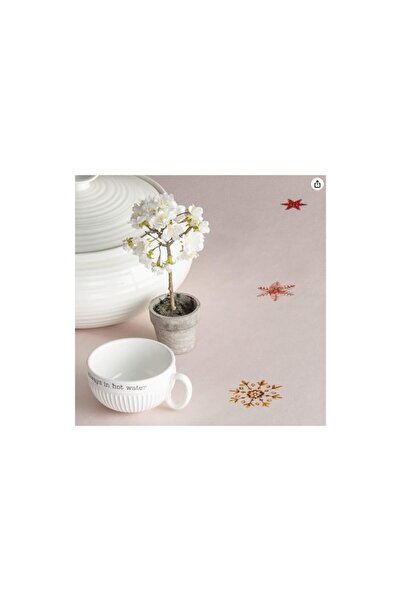 OEK Dining Tablecloth, Maison d'Hermine, 100% Cotton, Cream, Christmas Decorations, 140 x 180 cm