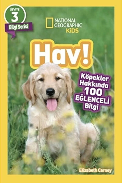 Beta Yayınevi Kids fun!