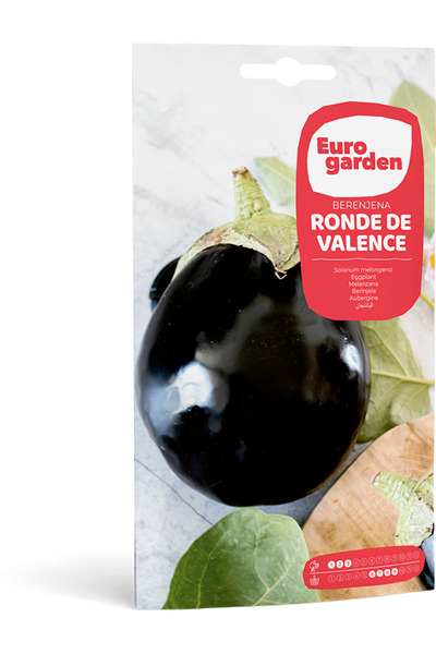 EURO GARDEN Eggplant (Berenjena Ronde de Valence) Premium Quality Seeds Made ...
